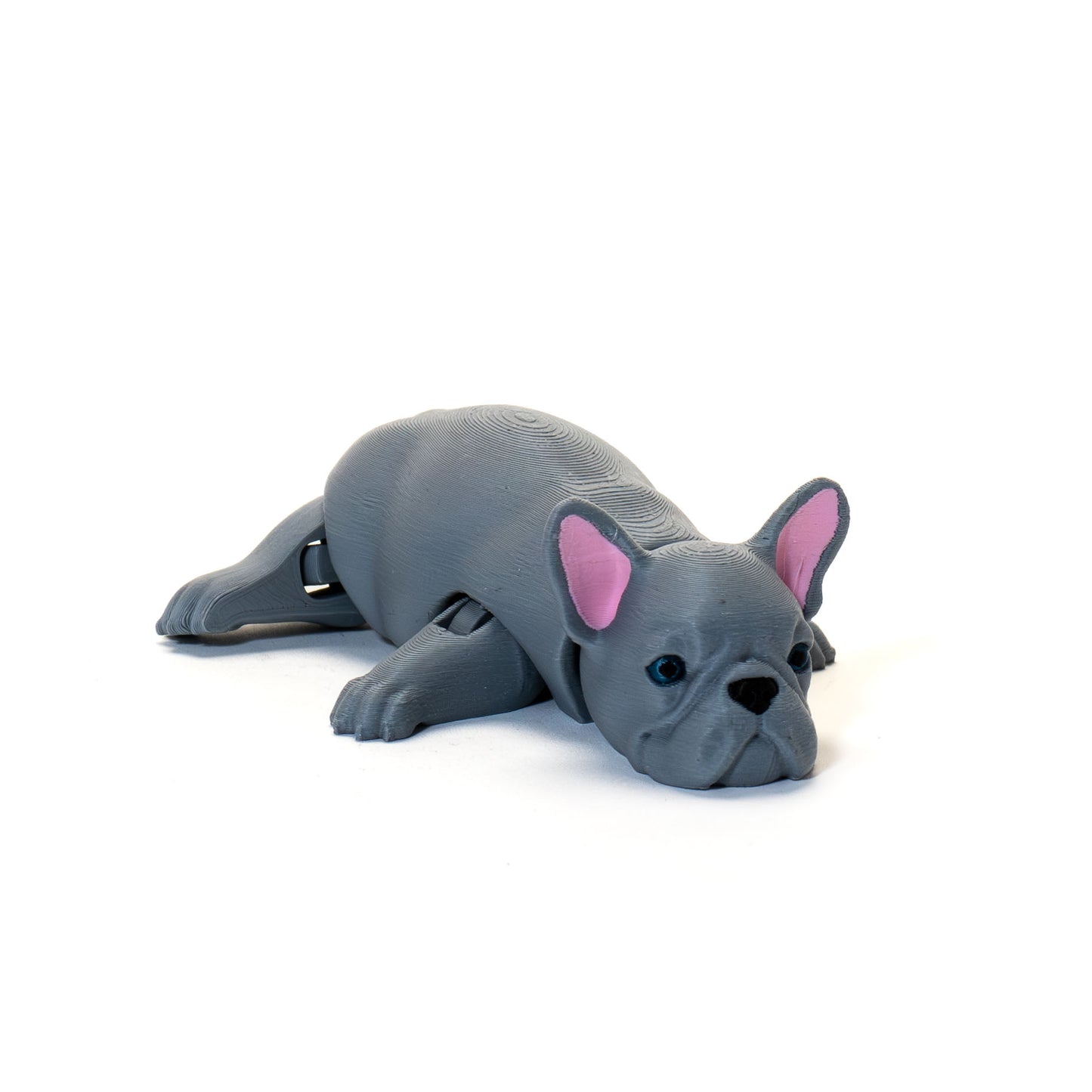 Articulated French Bulldog Toy